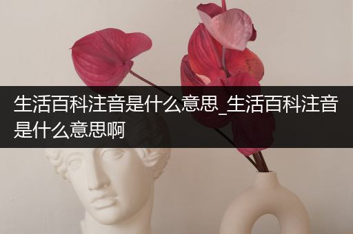 生活百科注音是什么意思_生活百科注音是什么意思啊