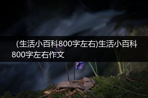 （生活小百科800字左右)生活小百科800字左右作文