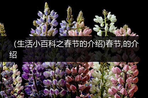 （生活小百科之春节的介绍)春节,的介绍