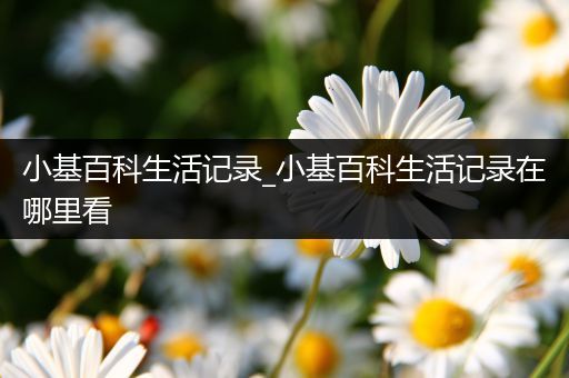 小基百科生活记录_小基百科生活记录在哪里看