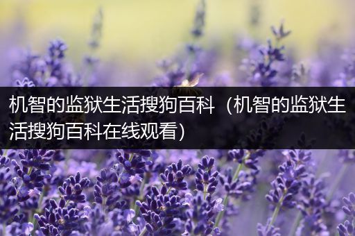 机智的监狱生活搜狗百科（机智的监狱生活搜狗百科在线观看）