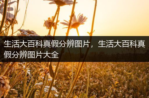 生活大百科真假分辨图片，生活大百科真假分辨图片大全