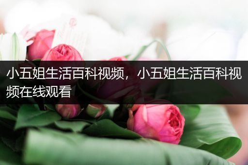 小五姐生活百科视频，小五姐生活百科视频在线观看