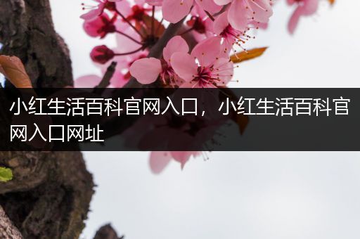 小红生活百科官网入口，小红生活百科官网入口网址