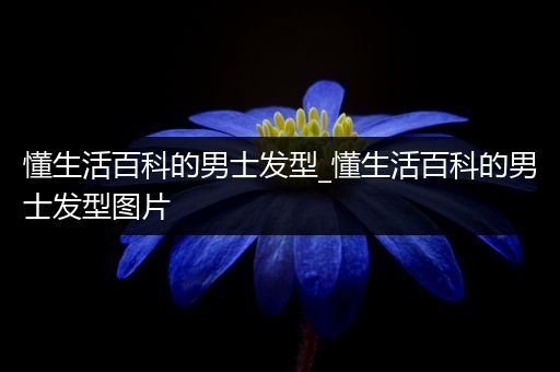 懂生活百科的男士发型_懂生活百科的男士发型图片