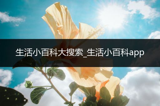 生活小百科大搜索_生活小百科app