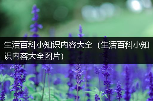 生活百科小知识内容大全（生活百科小知识内容大全图片）