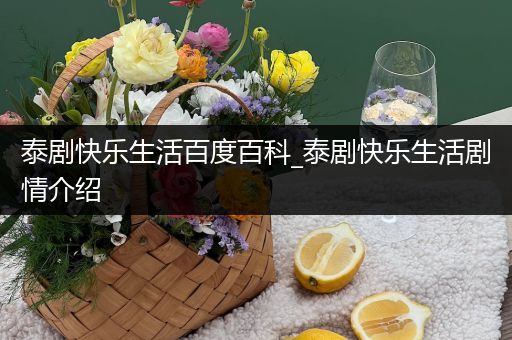 泰剧快乐生活百度百科_泰剧快乐生活剧情介绍