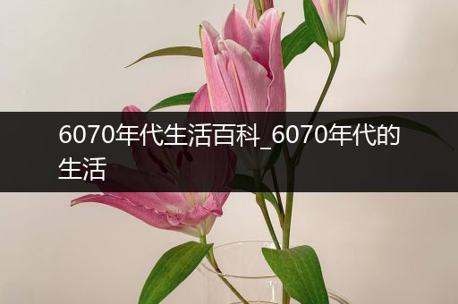 6070年代生活百科_6070年代的生活