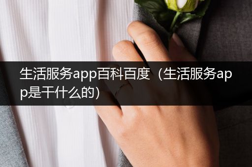 生活服务app百科百度（生活服务app是干什么的）