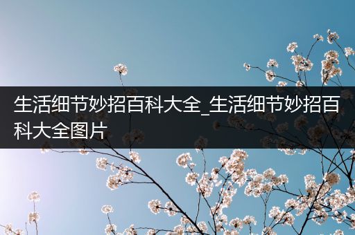 生活细节妙招百科大全_生活细节妙招百科大全图片