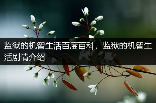 监狱的机智生活百度百科，监狱的机智生活剧情介绍