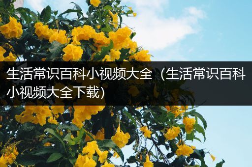 生活常识百科小视频大全（生活常识百科小视频大全下载）