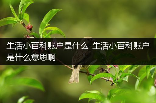 生活小百科账户是什么-生活小百科账户是什么意思啊