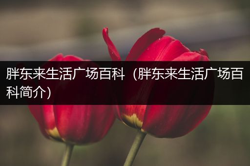 胖东来生活广场百科（胖东来生活广场百科简介）