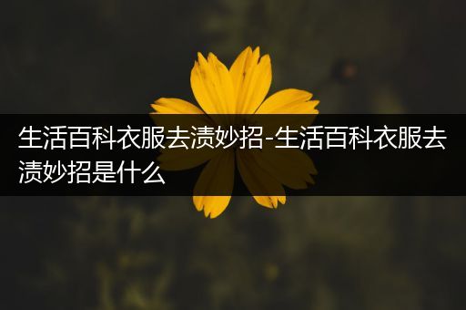 生活百科衣服去渍妙招-生活百科衣服去渍妙招是什么