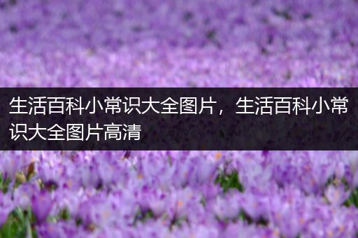 生活百科小常识大全图片，生活百科小常识大全图片高清