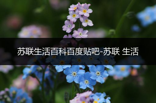 苏联生活百科百度贴吧-苏联 生活