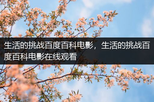 生活的挑战百度百科电影，生活的挑战百度百科电影在线观看