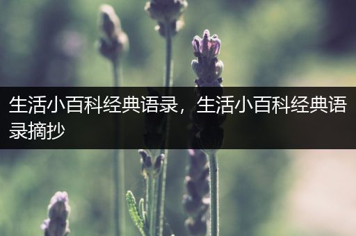 生活小百科经典语录，生活小百科经典语录摘抄