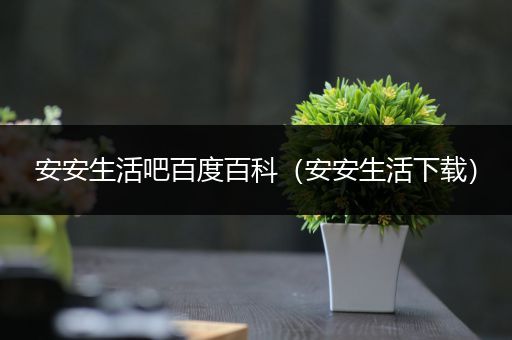 安安生活吧百度百科（安安生活下载）