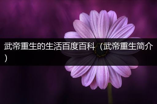 武帝重生的生活百度百科（武帝重生简介）