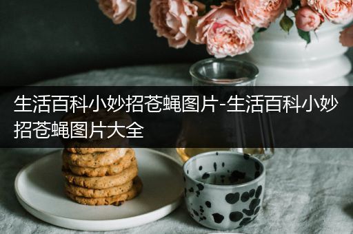 生活百科小妙招苍蝇图片-生活百科小妙招苍蝇图片大全