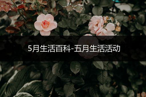 5月生活百科-五月生活活动