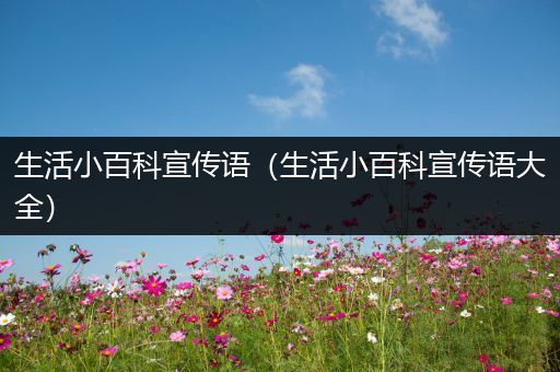 生活小百科宣传语（生活小百科宣传语大全）