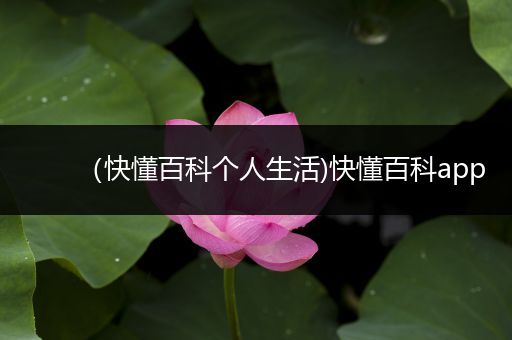 （快懂百科个人生活)快懂百科app