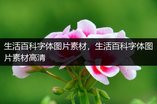 生活百科字体图片素材，生活百科字体图片素材高清