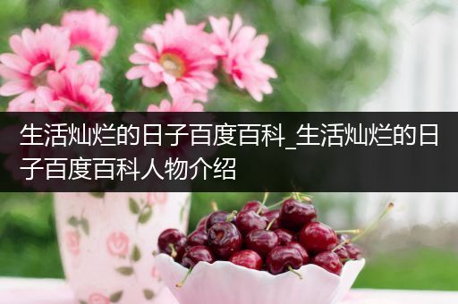 生活灿烂的日子百度百科_生活灿烂的日子百度百科人物介绍