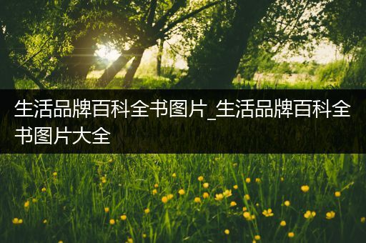 生活品牌百科全书图片_生活品牌百科全书图片大全