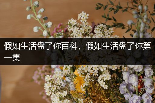 假如生活盘了你百科，假如生活盘了你第一集