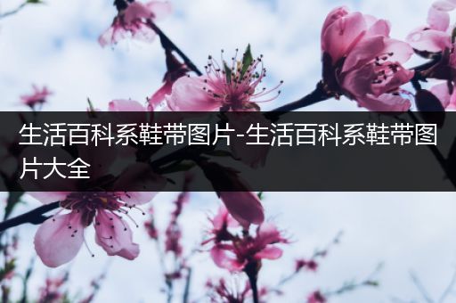 生活百科系鞋带图片-生活百科系鞋带图片大全