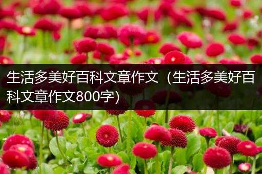 生活多美好百科文章作文（生活多美好百科文章作文800字）