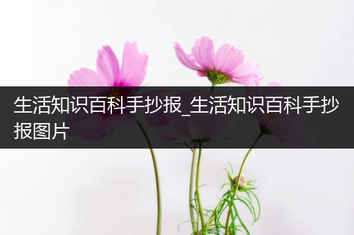 生活知识百科手抄报_生活知识百科手抄报图片