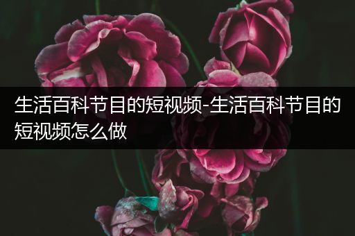 生活百科节目的短视频-生活百科节目的短视频怎么做