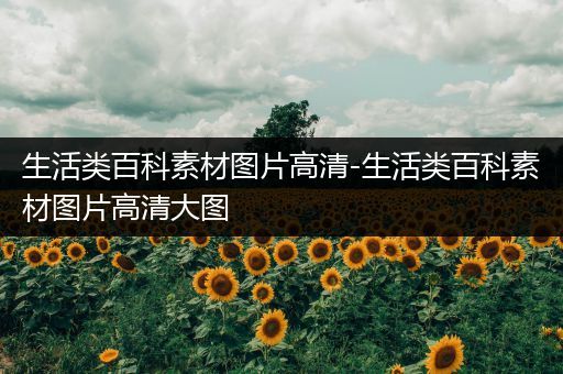 生活类百科素材图片高清-生活类百科素材图片高清大图