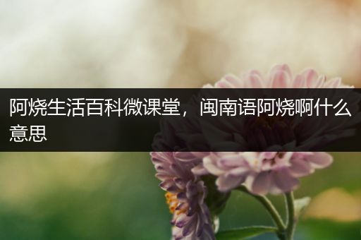 阿烧生活百科微课堂，闽南语阿烧啊什么意思