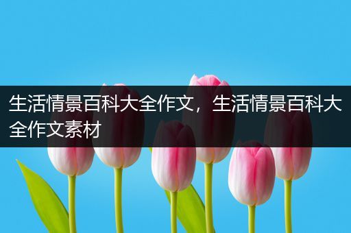 生活情景百科大全作文，生活情景百科大全作文素材