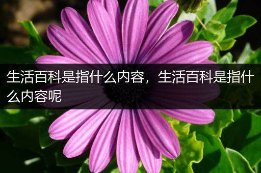 生活百科是指什么内容，生活百科是指什么内容呢