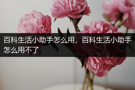 百科生活小助手怎么用，百科生活小助手怎么用不了