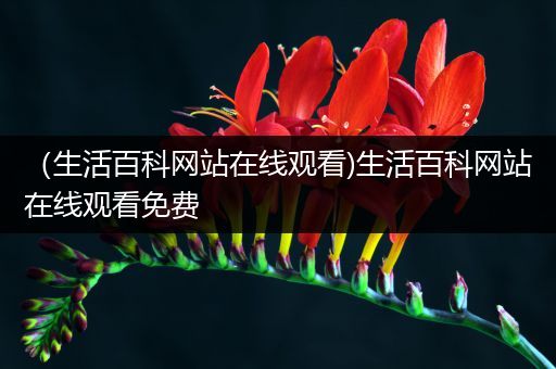 （生活百科网站在线观看)生活百科网站在线观看免费