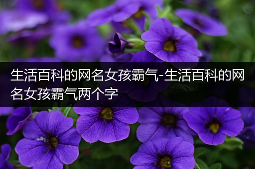 生活百科的网名女孩霸气-生活百科的网名女孩霸气两个字