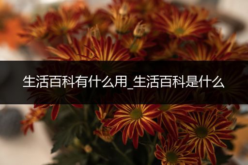 生活百科有什么用_生活百科是什么