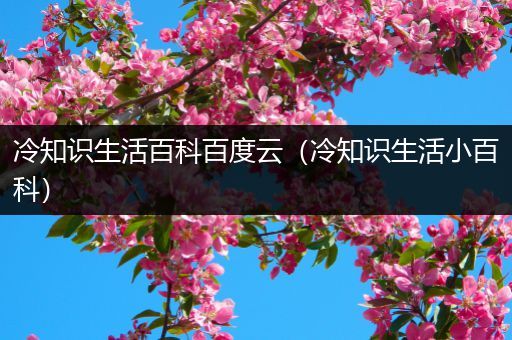 冷知识生活百科百度云（冷知识生活小百科）