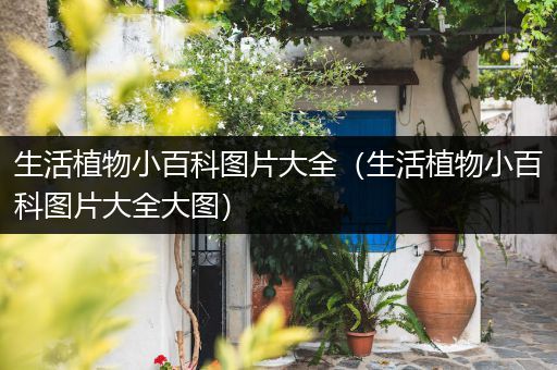 生活植物小百科图片大全（生活植物小百科图片大全大图）