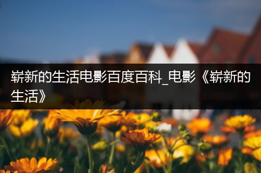 崭新的生活电影百度百科_电影《崭新的生活》