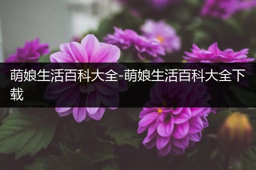 萌娘生活百科大全-萌娘生活百科大全下载